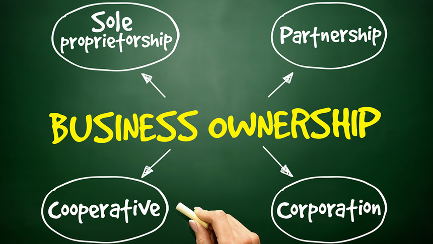Business Formation, Licensing & Documentation