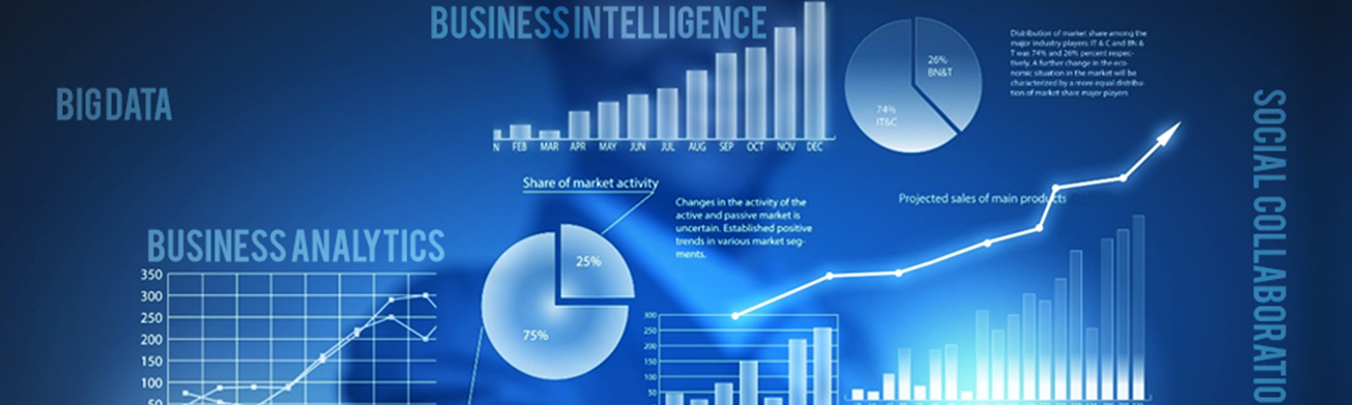 Business Analytics and Business Intelligence
